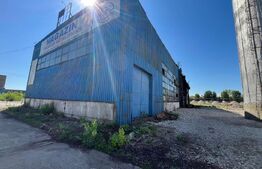 Hală industrială de închiriat, 1.000 mp + teren 5.000 mp