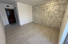 Garsonieră de vanzare, 24 mp, zona Laminorului