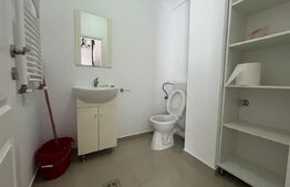 Penthouse duplex, de inchiriat, cu 3 camere, 72 mp, zona Periferie