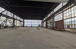 Complex industrial de vanzare, zona Centura