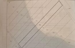 Teren de vânzare Exterior Sud - 141430TV | BLITZ Târgoviște | Poza4