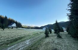 Teren intravilan, 5.500 mp, platoul Padina