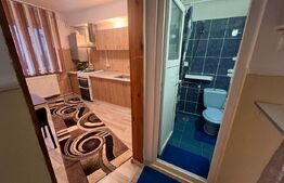 Garsonieră, 27 mp utili, zona Micro 9