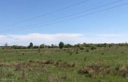 Teren, 5453 mp, zona Suta Seaca 