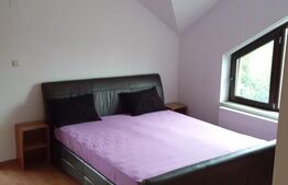 Casă 4 camere, 150 mp, Aleea Manastirii