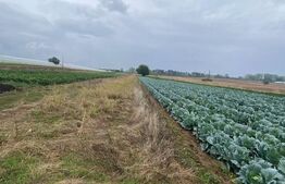 Teren de vanzare, 4700 mp, Strada Brazilor 