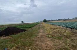 Teren de vanzare, 4700 mp, Strada Brazilor 