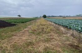 Teren de vanzare, 4700 mp, Strada Brazilor 