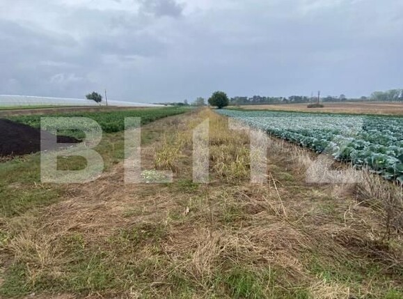 Teren de vânzare Exterior Est - 178982TV | BLITZ Târgoviște | Poza1