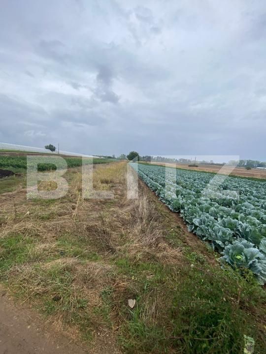 Teren de vânzare Exterior Est - 178982TV | BLITZ Târgoviște | Poza2