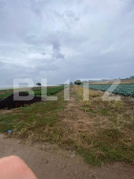 Teren de vânzare Exterior Est - 178982TV | BLITZ Târgoviște | Poza3