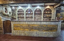 Restaurant & motel Taverna Dacilor de vanzare, zona Micro 3 