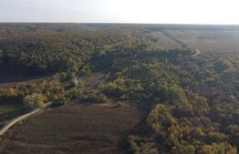 Proprietate de vanzare, 1000 mp, sat Gârleni