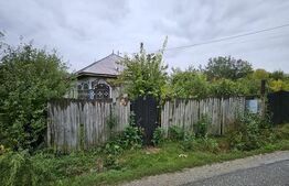 Proprietate de vanzare, 1000 mp, sat Gârleni