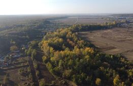 Proprietate de vanzare, 1000 mp, sat Gârleni