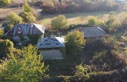 Proprietate de vanzare, 1000 mp, sat Gârleni