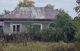 Proprietate de vanzare, 1000 mp, sat Gârleni