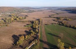 Proprietate de vanzare, 1000 mp, sat Gârleni