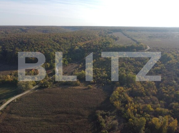 Casa de vânzare 2 camere Exterior Vest - 179175CV | BLITZ Târgoviște | Poza7