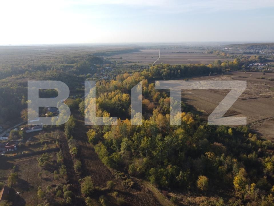 Casa de vânzare 2 camere Exterior Vest - 179175CV | BLITZ Târgoviște | Poza6