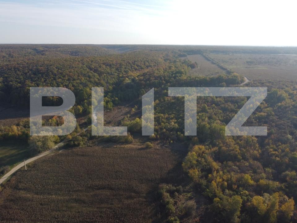 Casa de vânzare 2 camere Valea Mare - 179175CV | BLITZ Târgoviște | Poza7