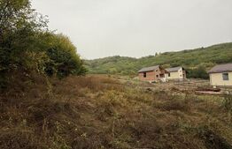 Teren de vanzare, 625 mp, zona Doicești.