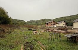 Teren de vanzare, 625 mp, zona Doicești.