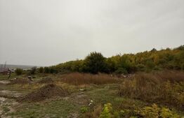 Teren de vanzare, 625 mp, zona Doicești.