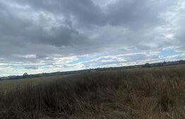 Teren de vânzare Sud - 191079TV | BLITZ Târgoviște | Poza3