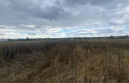 Teren extravilan, 2500 mp, zona Lucieni