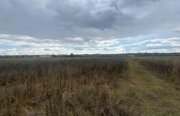 Teren extravilan, 2500 mp, zona Lucieni