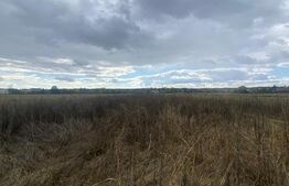 Teren extravilan, 2500 mp, zona Lucieni