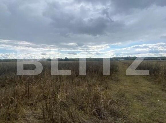 Teren de vânzare Exterior Sud - 179336TV | BLITZ Târgoviște | Poza2