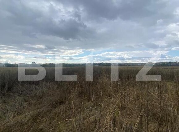 Teren de vânzare Exterior Sud - 179336TV | BLITZ Târgoviște | Poza3