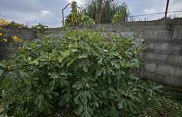 Casă de vânzare, 75 mp, Strada Crângului