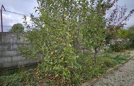 Casă de vânzare, 75 mp, Strada Crângului