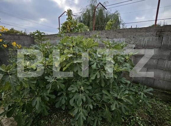 Casa de vânzare 3 camere Priseaca - 179847CV | BLITZ Târgoviște | Poza23