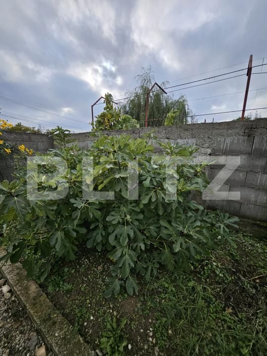 Casa de vânzare 3 camere Priseaca - 179847CV | BLITZ Târgoviște | Poza23