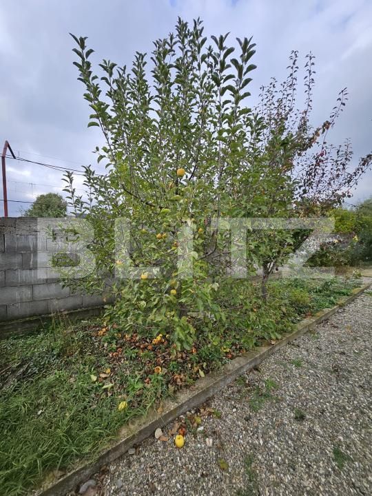 Casa de vânzare 3 camere Priseaca - 179847CV | BLITZ Târgoviște | Poza24