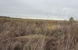 Teren de vânzare, 1000 mp, zona Dragomirești 