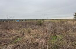 Teren de vânzare, 1000 mp, zona Dragomirești 