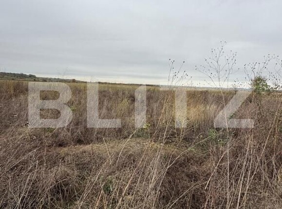 Teren de vânzare Exterior Est - 179962TV | BLITZ Târgoviște | Poza2