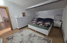 Vilă  226 mp utili, curte 277 mp, zona Micro 3