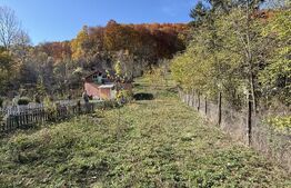 Oportunitate! Casă cu 2000 mp teren, Moreni