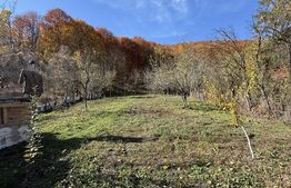 Oportunitate! Casă cu 2000 mp teren, Moreni