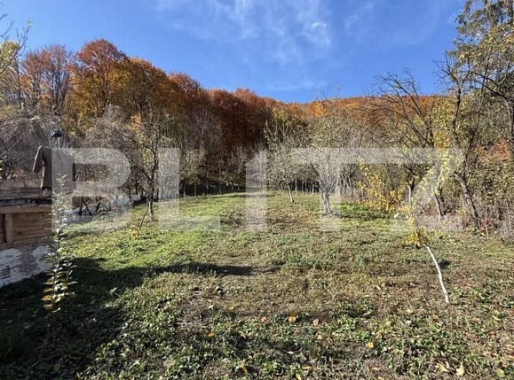 Casa de vânzare 2 camere Moreni - 180876CV | BLITZ Târgoviște | Poza3