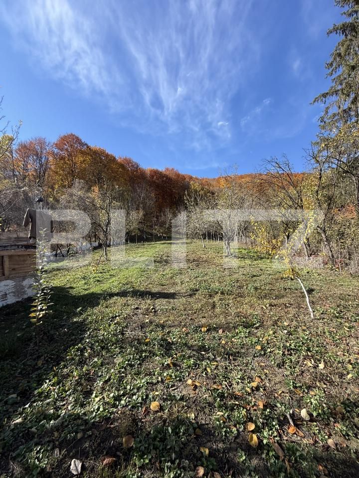 Casa de vânzare 2 camere Moreni - 180876CV | BLITZ Târgoviște | Poza3