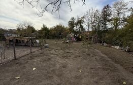 💎 Oportunitate! Casă cu grădină mare în Moreni