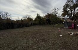 💎 Oportunitate! Casă cu grădină mare în Moreni