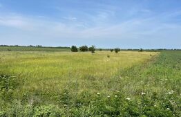 Teren extravilan, 4.994 mp, Targoviste 